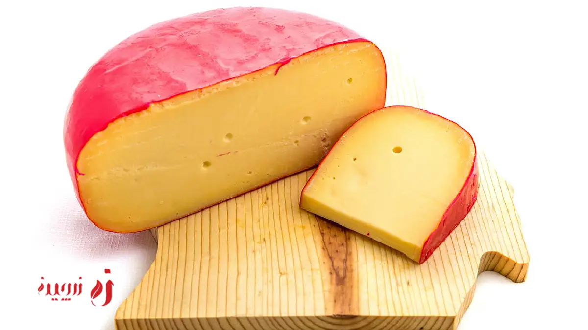 مراحل تهیه پنیر گودا