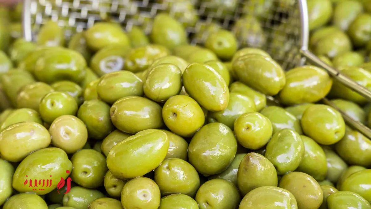 مواد اولیه زیتون تخمیری