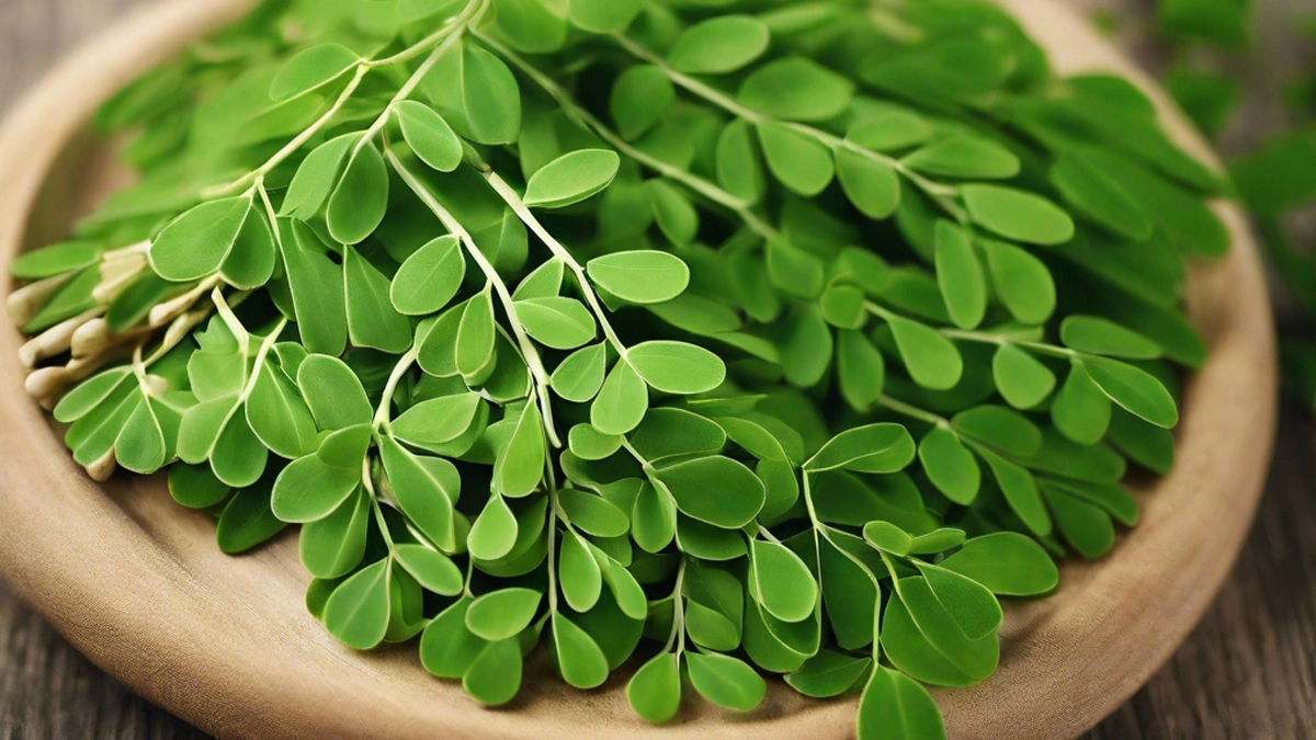 طریقه مصرف مورینگا برای لاغری