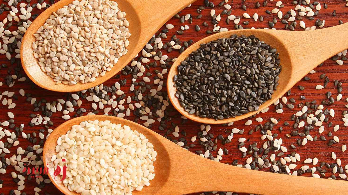نژادهای کنجد