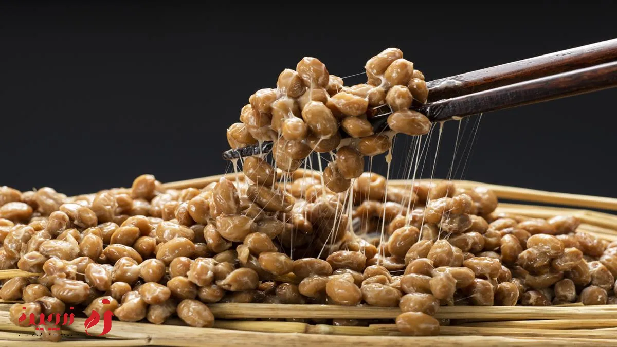 چگونه ناتو درست کنیم