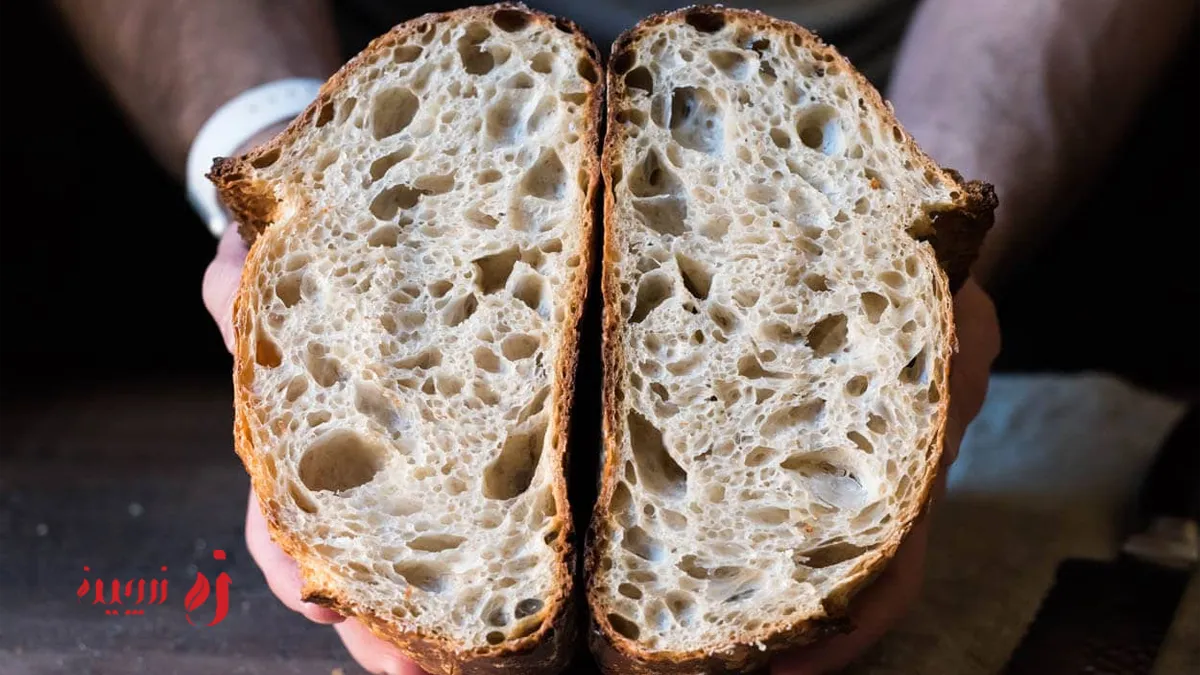 طرز تهیه استارتر (خمیر ترش اولیه)