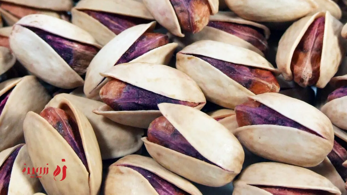 پسته اکبری
