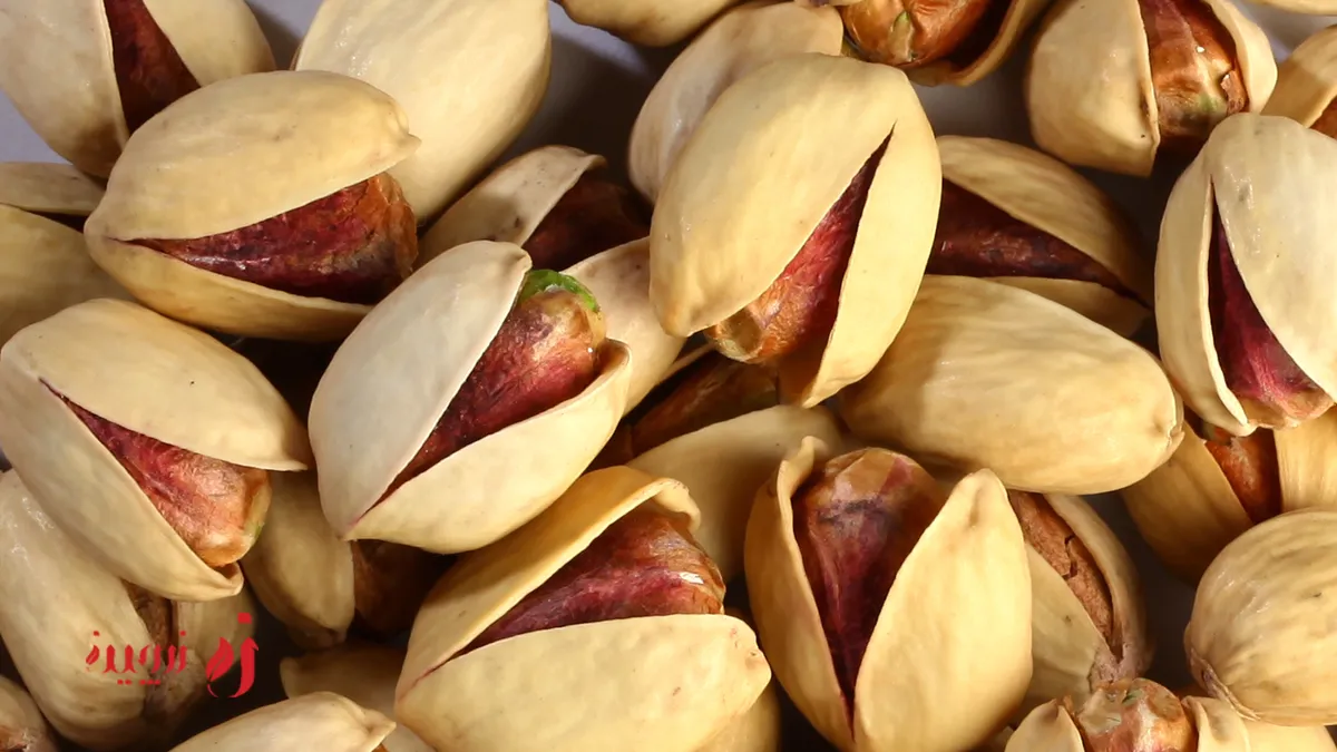 پسته کله قوچی