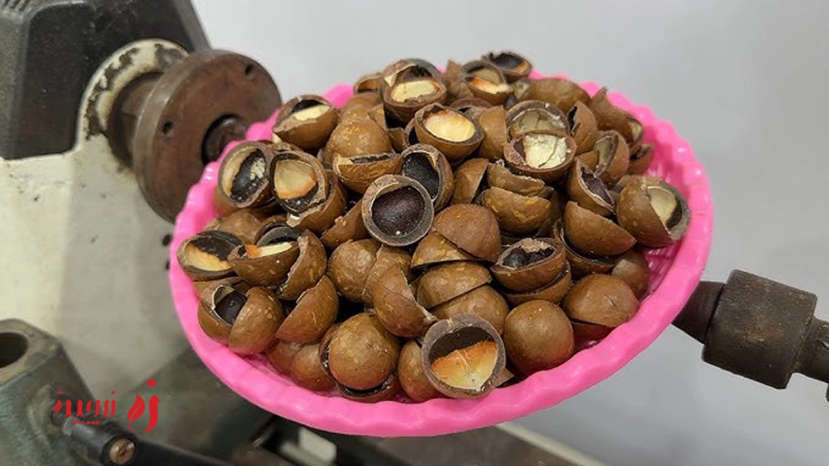 پوست ماکادمیا در صنعت