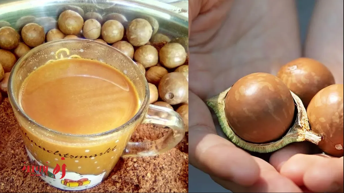 چای پوست ماکادمیا