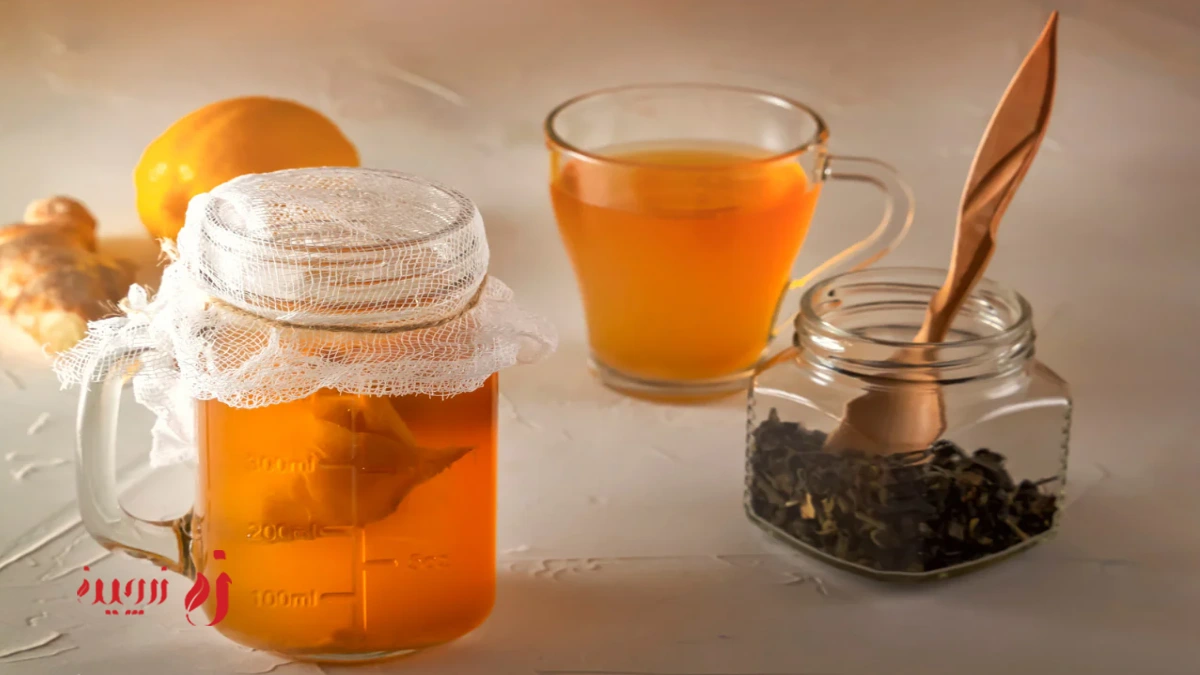 چای کمبوجا