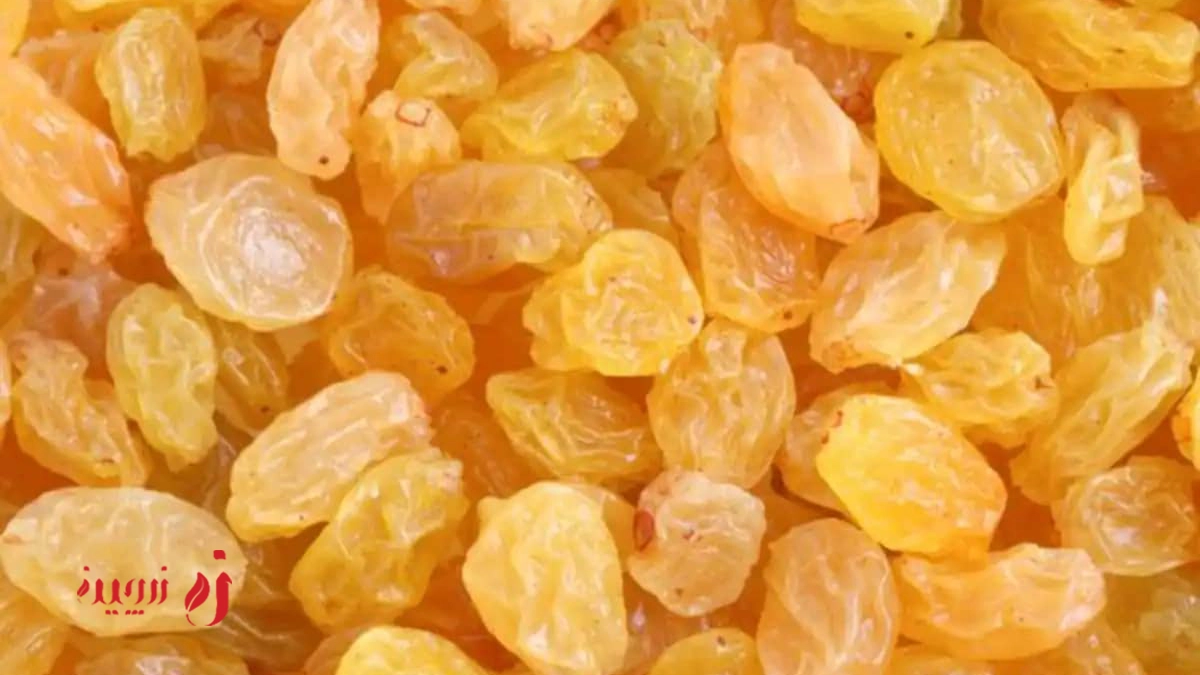 کشمش تیغی